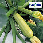 Кабачок Карізма F1 Syngenta/Нідерланди 5 шт, фото 4