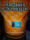 Насіння кормового кукурудзи Любава 279 МВ, 1 кг, фото 3