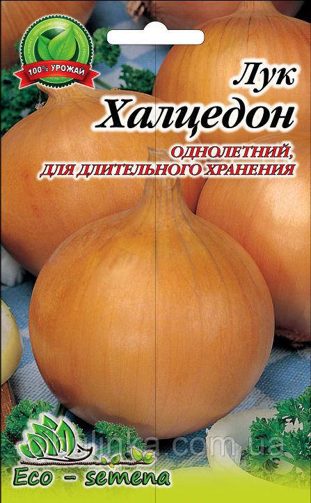 Насіння Цибуля Халцедон однорічний / 1 кг