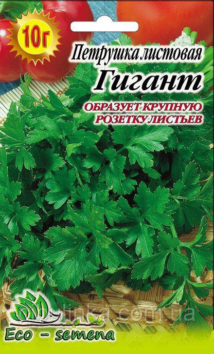 Насіння Петрушка Гігант листяне, 10 г, фото 1