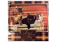 Поліетиленовий пакет (40х40) з пластиковою ручкою великий "Котики" (10 шт.)