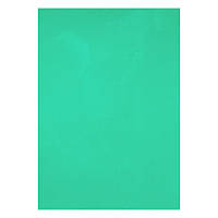 Обкладинка для брошуровщика Axent А4 пластик 50шт зелений 180мкм 2720-04-A