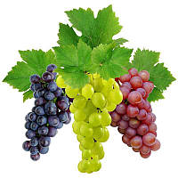Сетка для защиты винограда от ос 5 кг / 28х40 см