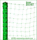 Сітка огіркова шпалерна Іспанія-Угорщина (Intermas) 1.7 м / 500 м, фото 2