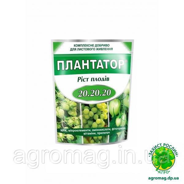 Плантатор ріст плодів (NPK 20.20.20) 1кг