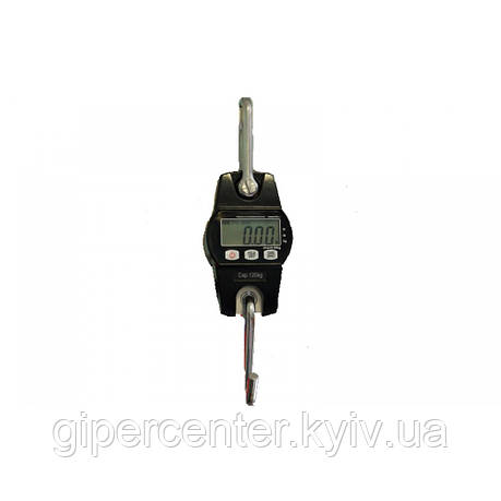 Ваги кранові ВК ЗЕВС I - 120 до 120 кг, фото 1