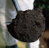 Чорнозем у мішках Харків, фото 2