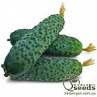 ОГІРОК "KS 90" 1000н F1, Китано, (KITANO Seeds)