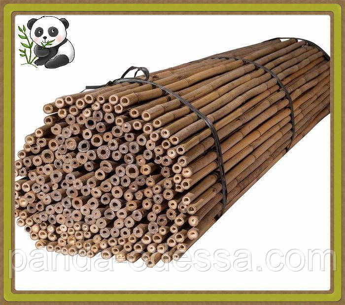 Бамбуковий стовбур, опора для підв'язки рослин, д.1,0 см, довжина 1,05 м