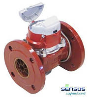 Водозчики SENSUS MeiStream FS 80/90° промислові на гарячу воду (Німеччина)