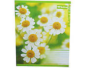 Зошит кольоровий 60листів клітинка (15 шт.)