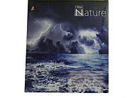 Зошит кольоровий 96листів клітинка (8 шт.)