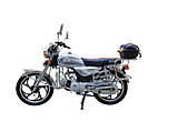 Мопед VENTUS ALPHA RESTYLING VS50QT-R-white, фото 3