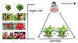Фітолампа 14 Вт для рослин, повний спектр, 220 В, фото 6