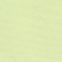 Ткань равномерного переплетения Zweigart Murano Lugana 32 ct. 3984/6122 Lime (Лайм)