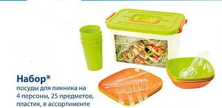 Все для пікніка