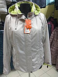 Колекція весна осінь, жіноча демісезонна куртка Mishele 10014 50, 52 розмір, фото 4
