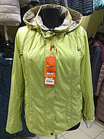 Колекція весна осінь, жіноча демісезонна куртка Mishele 10014 50, 52 розмір