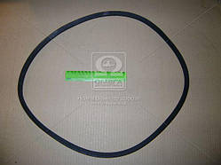 Ремінь 11x10 x1250 Ремінь 11 x 101250