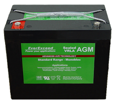 Акумулятор EverExceed ST1255 (12в55А·год)