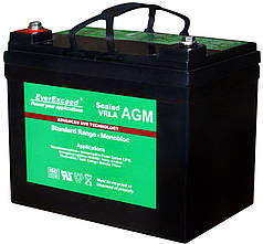Акумулятор EverExceed ST1235 (12в35А·год)