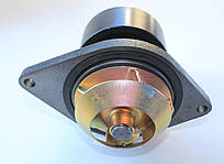 Помпа води QSL9 4955529