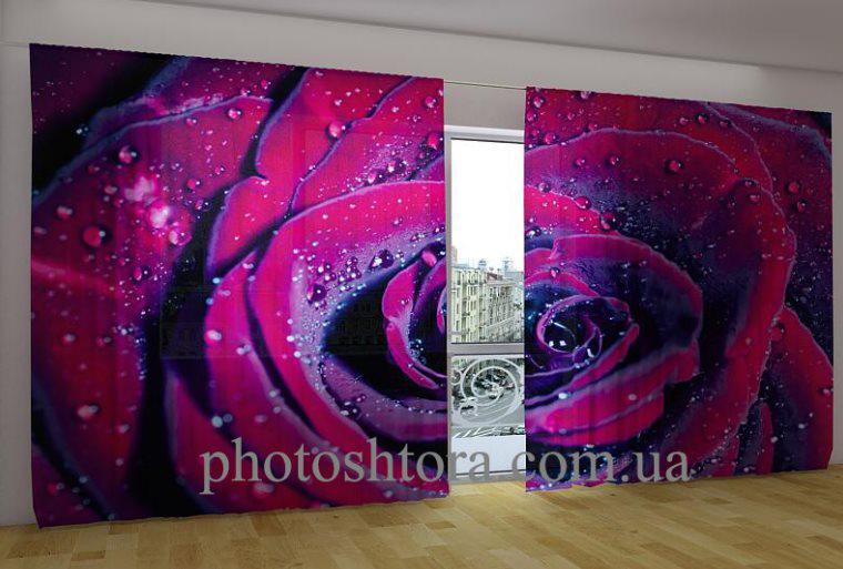 Панорамна фотоштора Троянда любові, фото 1