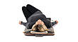 Масажний мат для витяжки Yoga Stretch, фото 2