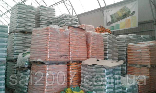 Союз Агро Інвест пропонує насіння соняшнику ВНІС Насіння соняшнику ВНІС