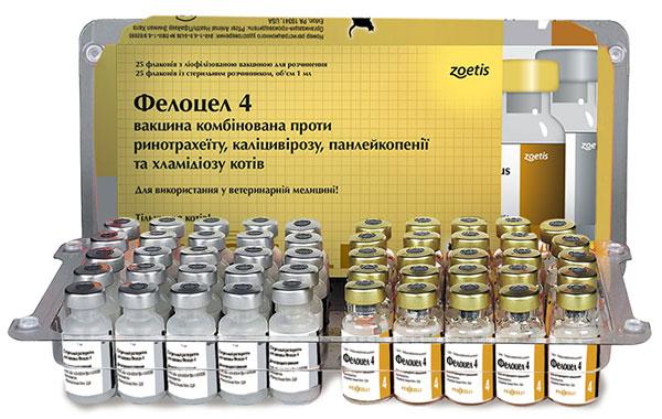Фелоцел-4