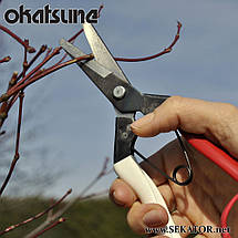 Секатор-ножиці Okatsune / Окацуне 306 (Японія), фото 2