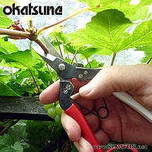 Секатор-ножиці Okatsune / Окацуне 307 (Японія), фото 3