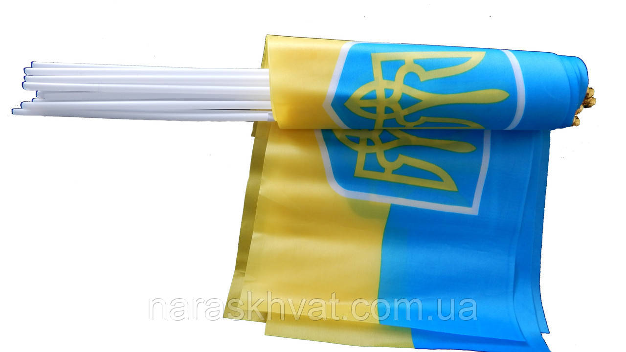 Прапор України 30*20 см