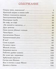 Чікі-брик та інші Денискін оповідання Драгунського Ст., фото 2