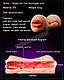 Мастурбатор / 3D Вагіна 17см  + орал 2 в 1  Силіконова насадка для товщини для вібратора / фалоімітатора / пеніса Мастурбатор, фото 3
