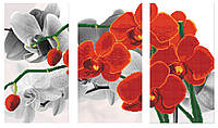 Схема для вышивки бисером "Орхидея красная", триптих