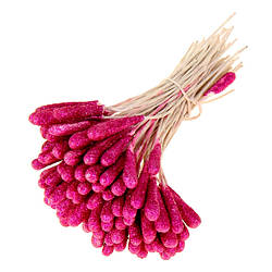 Тичинки односторонні