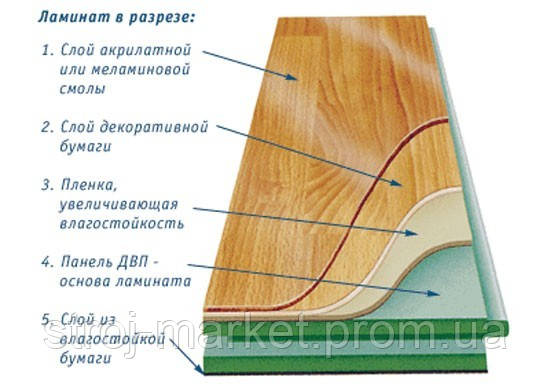 Ламіновані підлоги Бельгія, Німеччина, Білорусь