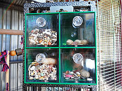 Чотири великі шухляди для Foraging