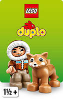 Duplo