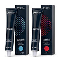 INDOLA Фарба 60 мл