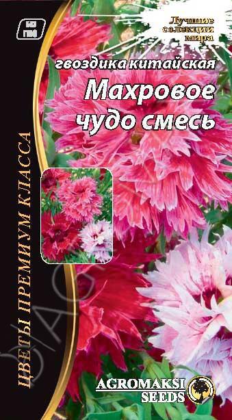 Гвоздика китайська Махрове диво суміш 0.2 г Agromaksi