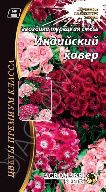 Гвоздика турецька Індійський килим 0.2 г Agromaksi, фото 1