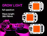 Світлодіод 50 W Smart IC повний фитоспектр фіто для рослин, фото 5