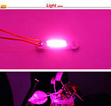 Світлодіод 50 W Smart IC повний фитоспектр фіто для рослин, фото 3