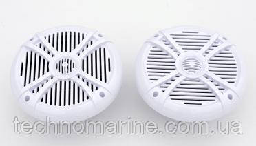 Пара 2-смугових морських динаміків, фото 1