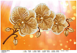 Схема для вишивки бісером Орхідея