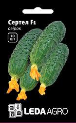 Насіння огірка Сертел F1, 10 шт., самоопыляемого, ТМ "ЛедаАгро"