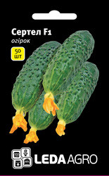 Насіння огірка Сертел F1, 50 шт., самоопыляемого, ТМ "ЛедаАгро"