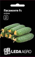 Семена огурца Пасамонте F1, 10 шт., самоопыляемого, ТМ "ЛедаАгро"